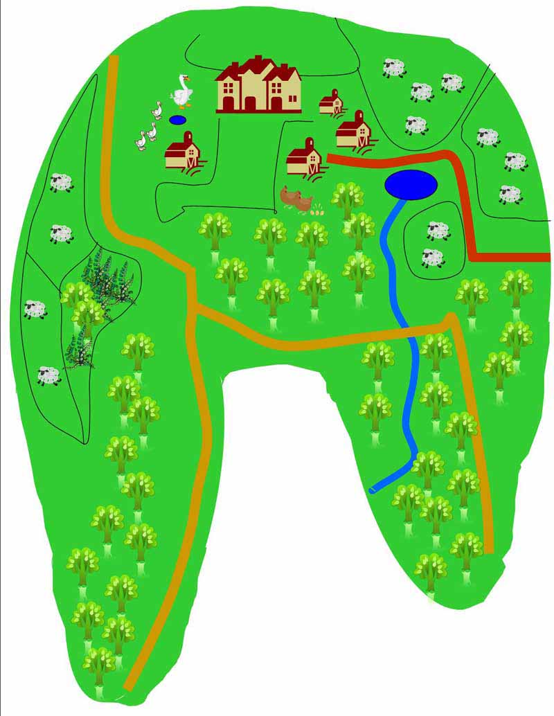 Map of the farm